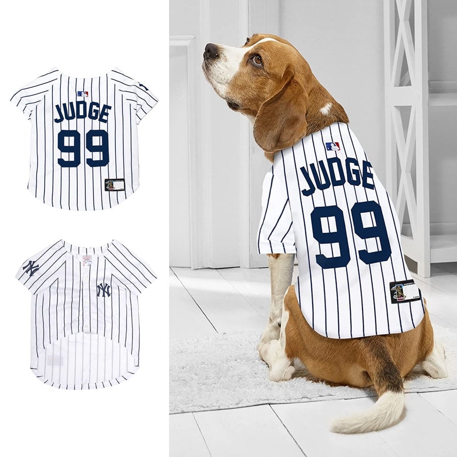 NY Yankees Aaron Judge #99 Dog Jersey (XL)